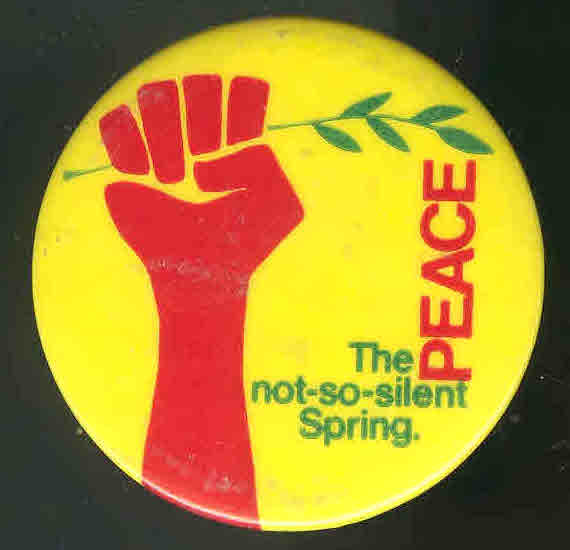 Copy 16 of Document (18)