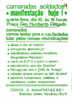 Copy of Imagem (142)