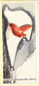 varios_0002
