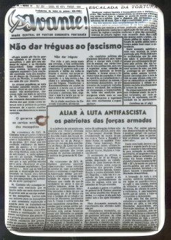 Cópia de 12-Jul-09 Fotografia (5)