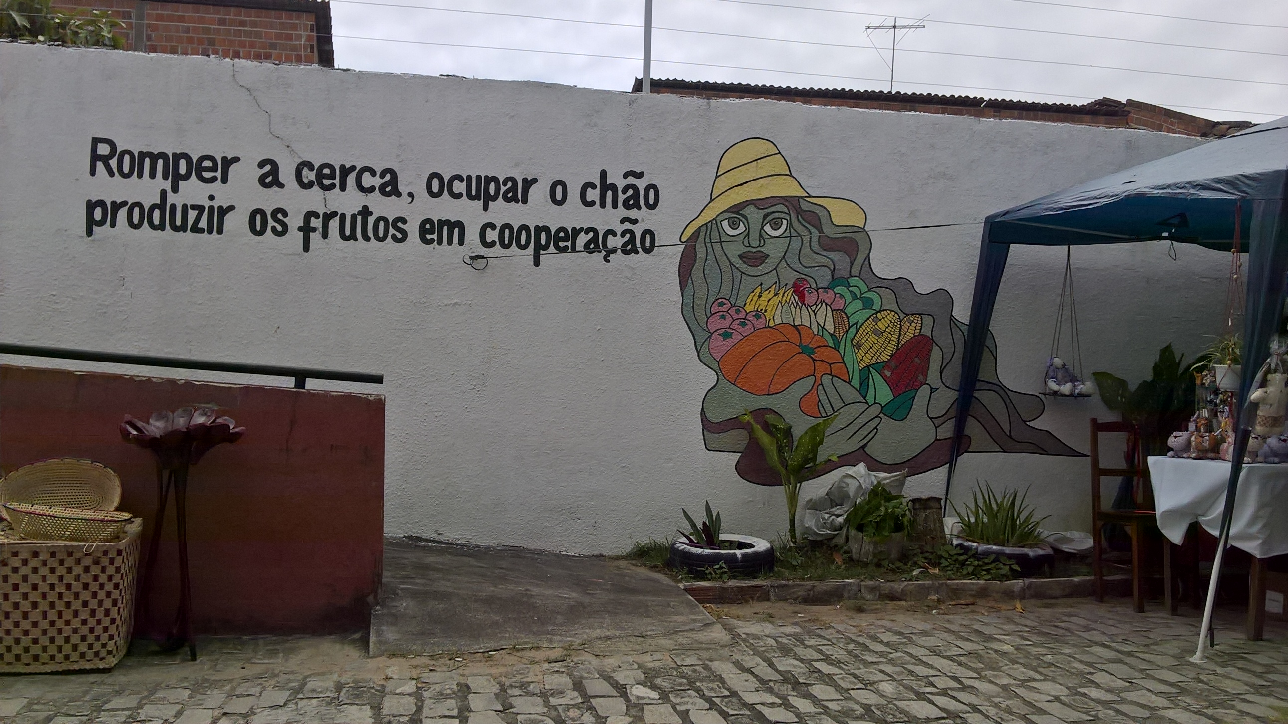junto Feira sem terra 1
