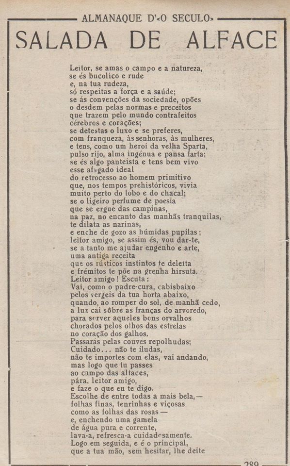salada de alface 1